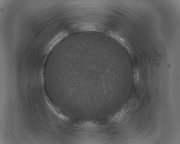 X0000062830390200601131303