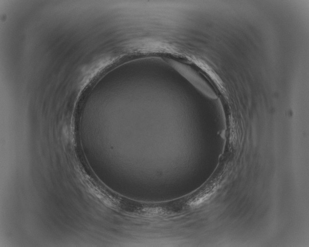 X0000062830391200601131303