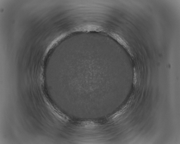 X0000062830392200601131303