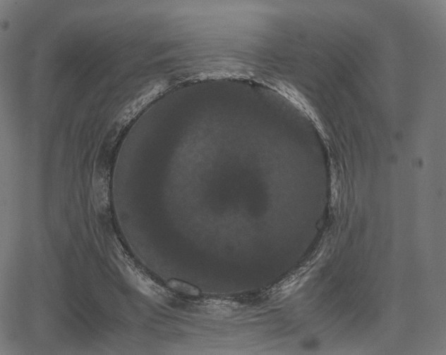 X0000062830393200601131303