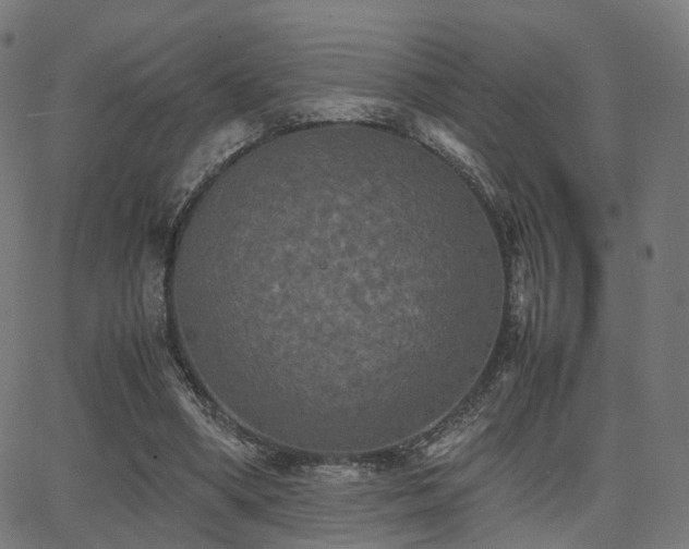 X0000062830394200601131303