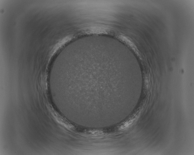 X0000062830395200601131303