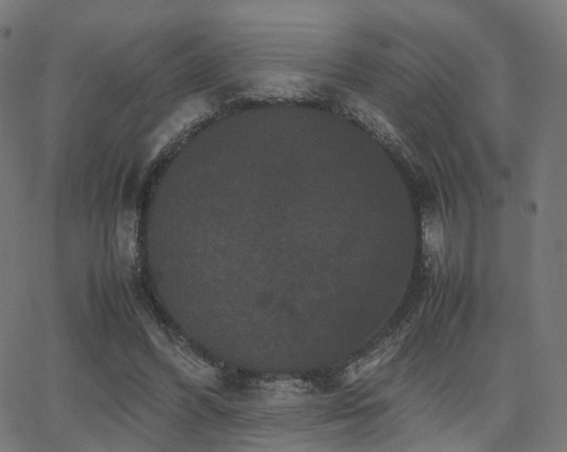 X0000062830396200601131303