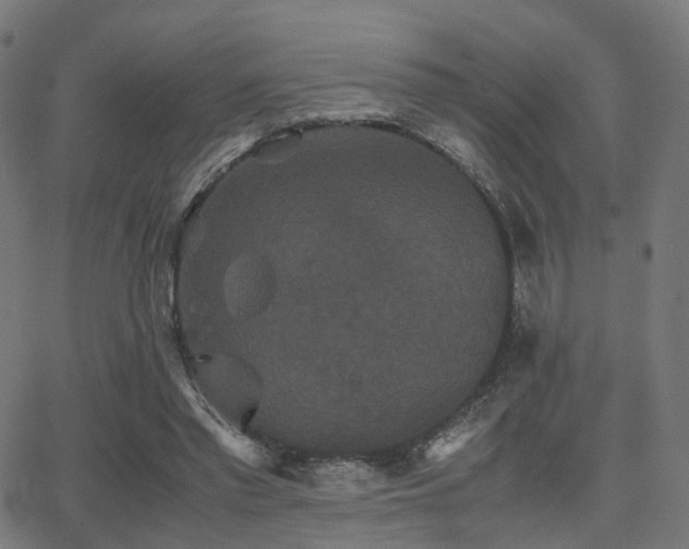 X0000062830397200601131303