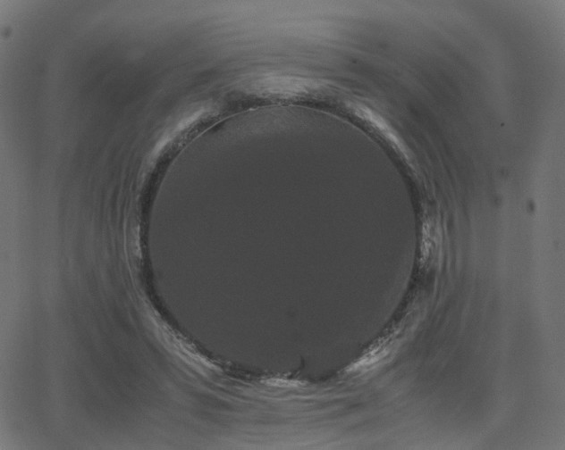 X0000062830399200601131303