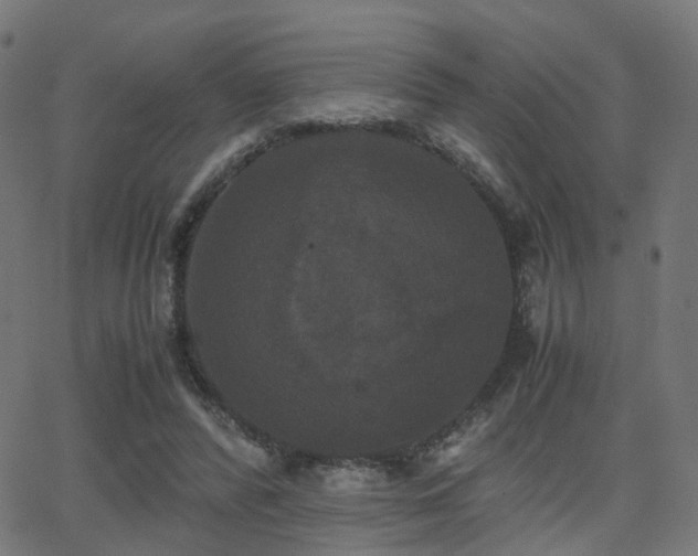 X0000062830400200601131303