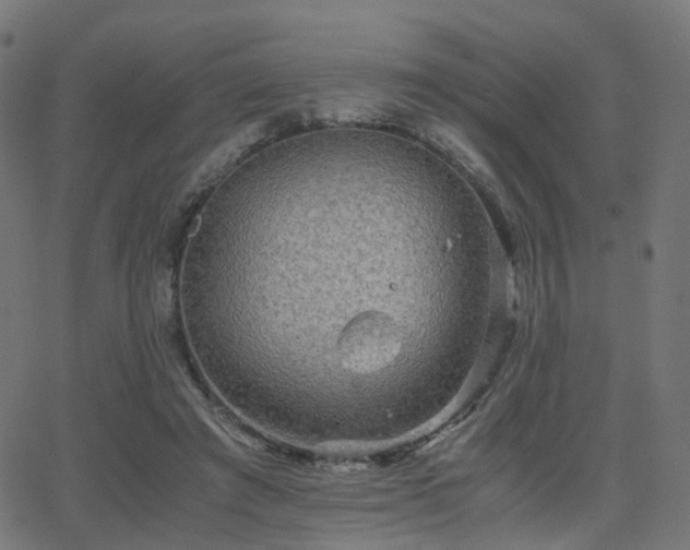 X0000062830401200601131303