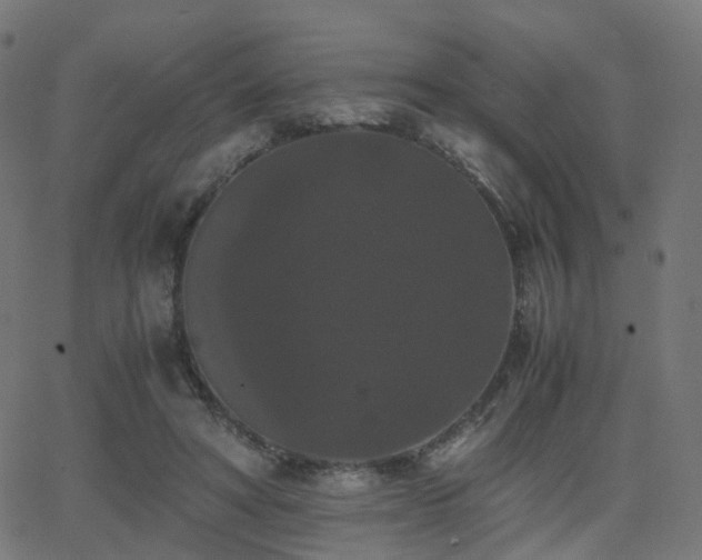 X0000062830402200601131303