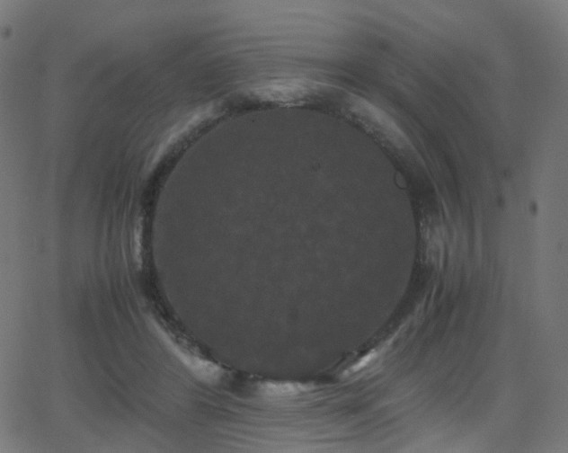 X0000062830404200601131303