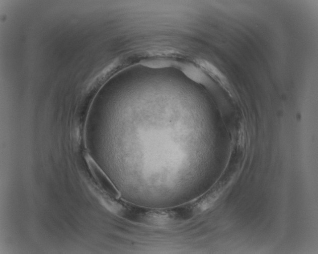 X0000062830405200601131303