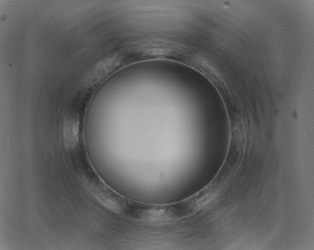 X0000062830406200601131303