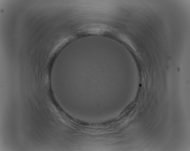 X0000062830407200601131303