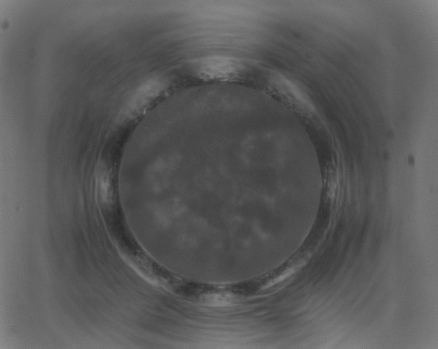 X0000062830408200601131303