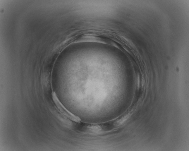 X0000062830409200601131303