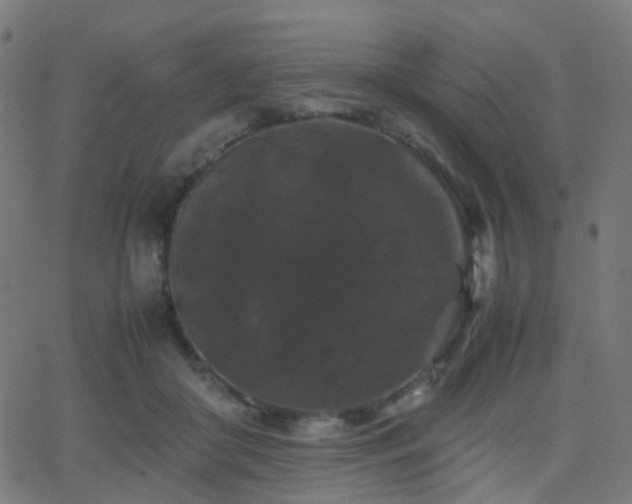 X0000062830410200601131303