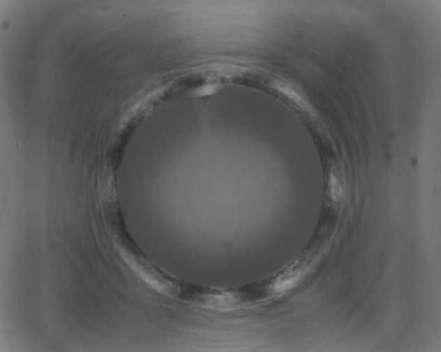 X0000062830411200601131303