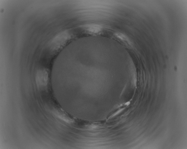 X0000062830412200601131303