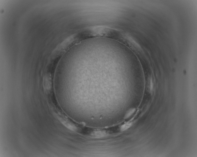 X0000062830413200601131303