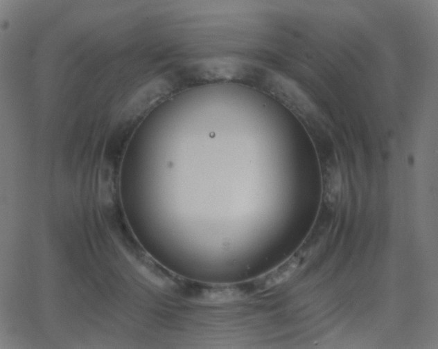 X0000062830414200601131303