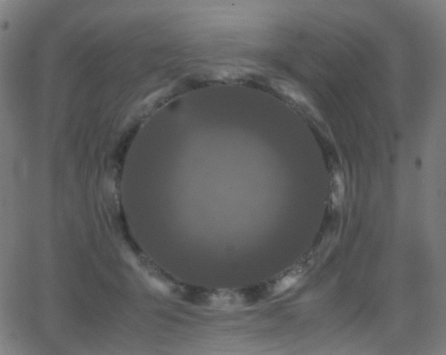 X0000062830415200601131303