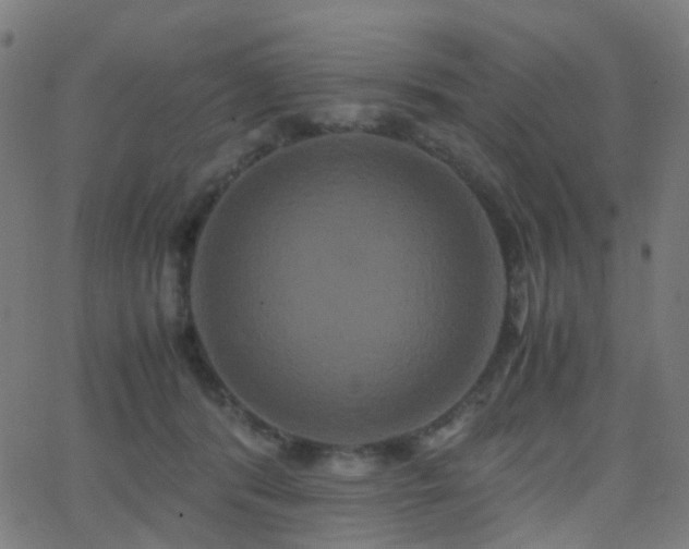 X0000062830416200601131303