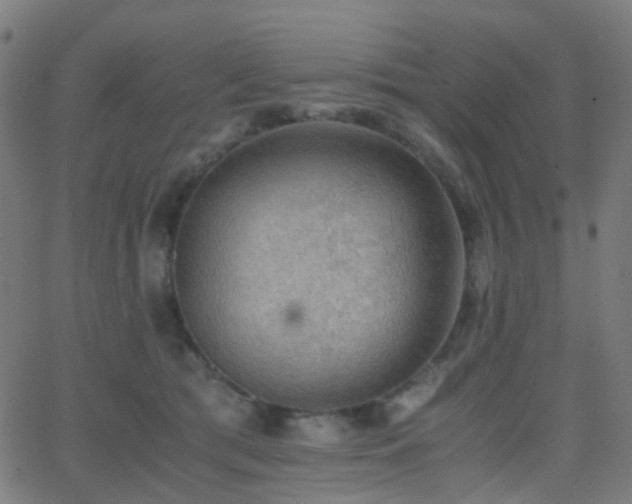 X0000062830417200601131303