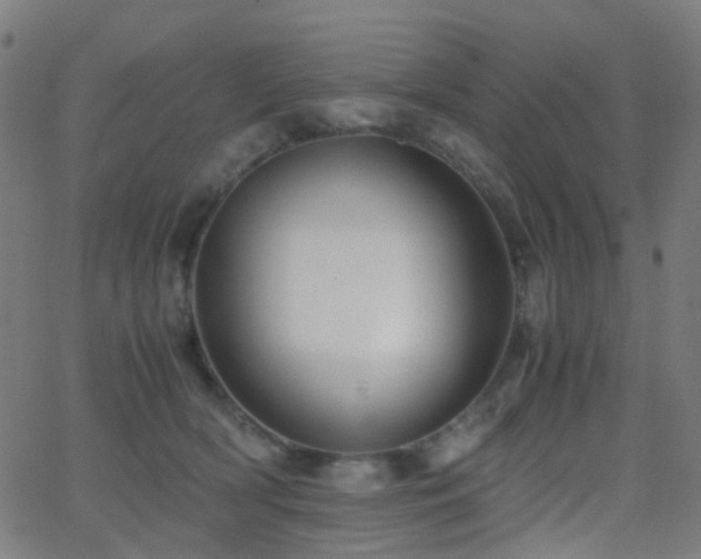 X0000062830418200601131303