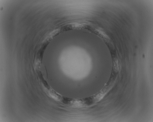 X0000062830419200601131303