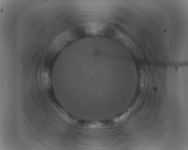 X0000062830420200601131303