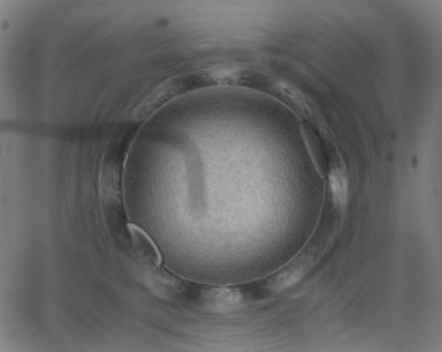 X0000062830421200601131303