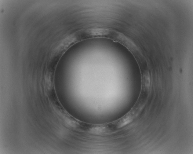 X0000062830422200601131303