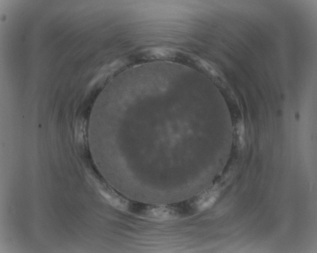 X0000062830423200601131303