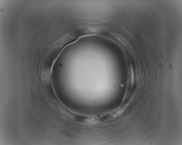 X0000062830425200601131303