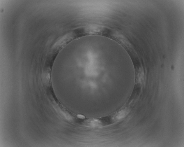 X0000062830427200601131303