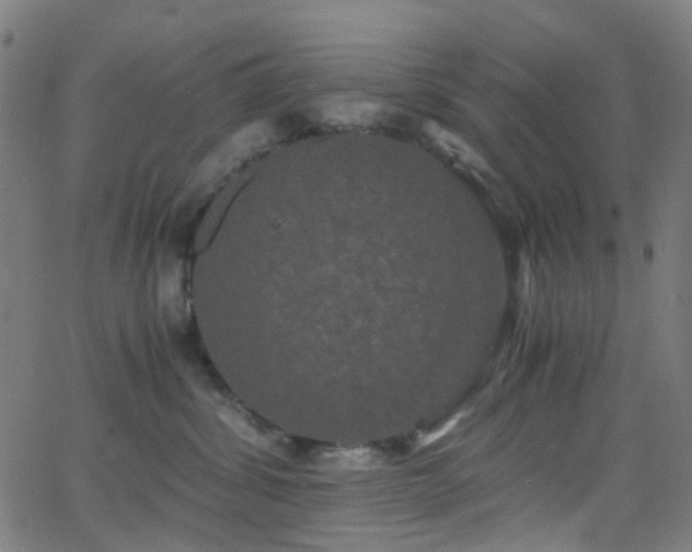 X0000062830428200601131303