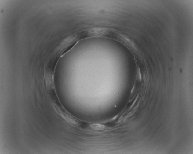 X0000062830429200601131303