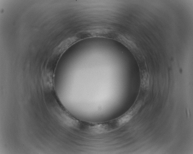 X0000062830430200601131303