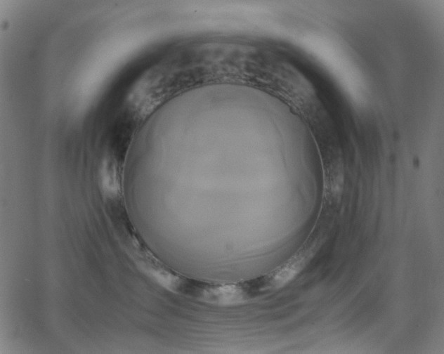 X0000062830431200601131303