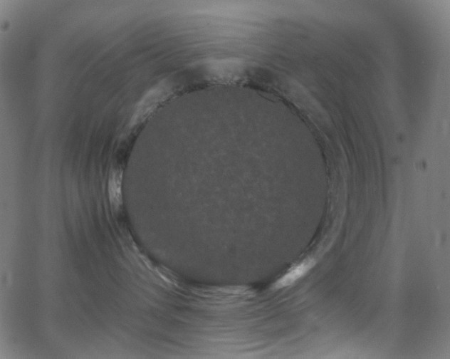 X0000062830432200601131303