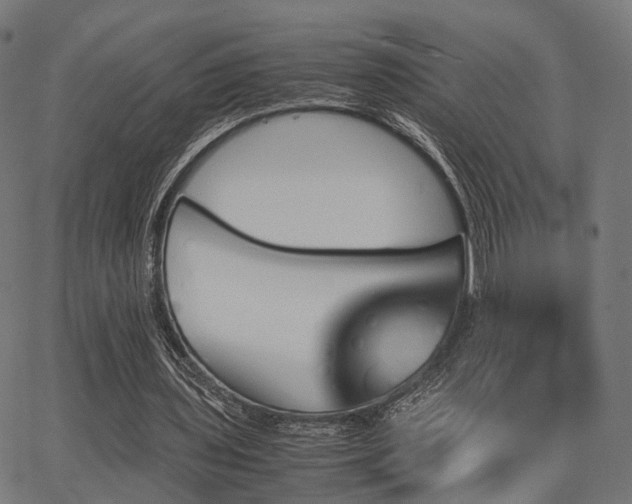 X0000062830435200601131302