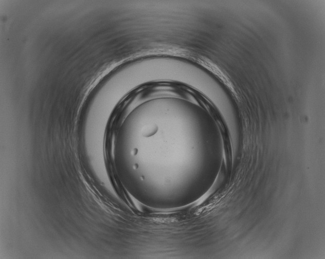 X0000062830436200601131302