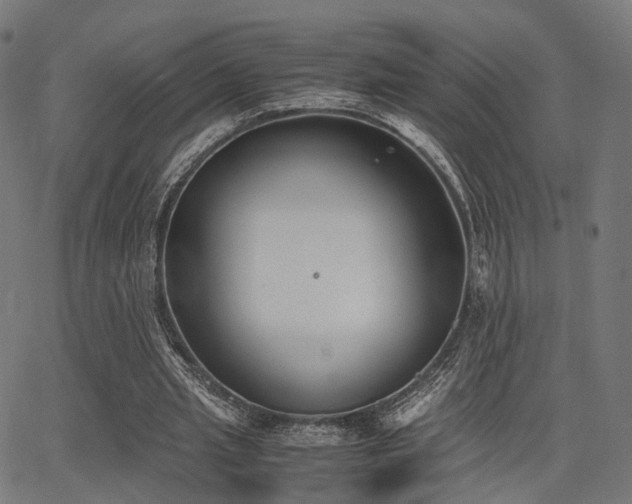 X0000062830437200601131302