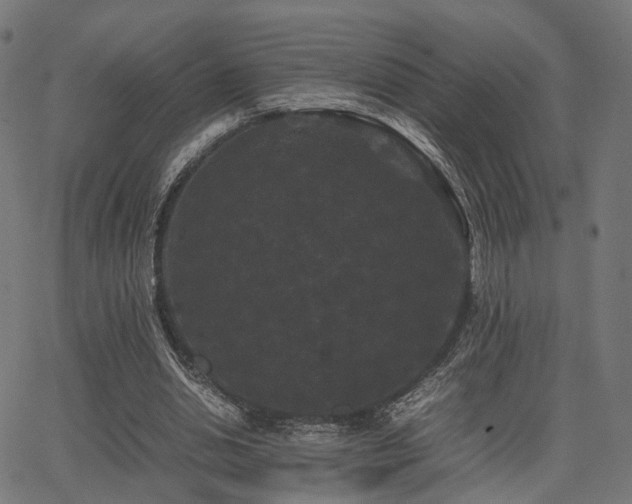 X0000062830438200601131302