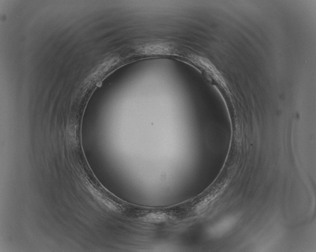 X0000062830441200601131302