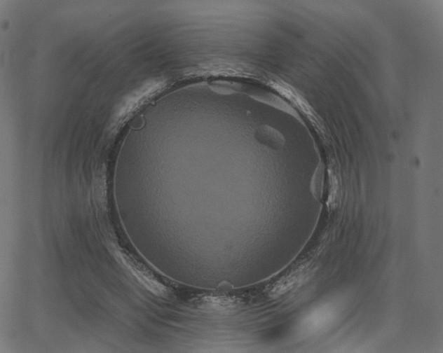 X0000062830442200601131302