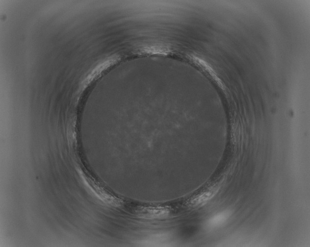 X0000062830443200601131302