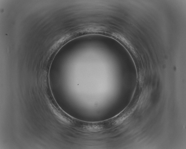 X0000062830445200601131302