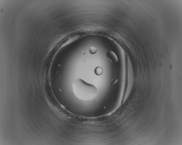 X0000062830448200601131302