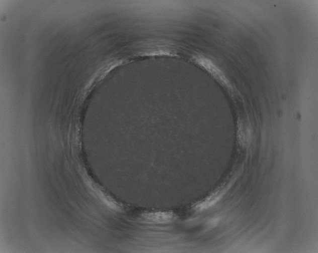 X0000062830449200601131302