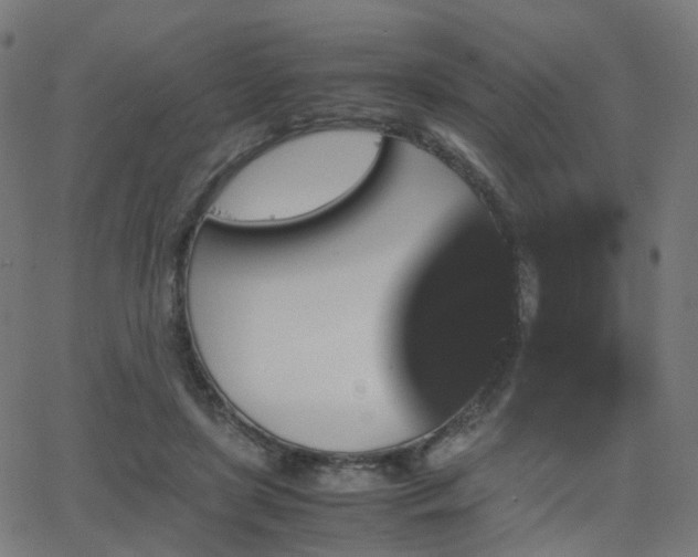 X0000062830451200601131302